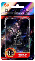 Dungeons & Dragons: Premium Pre-Painted Icons of the Realms: Human Fighter (male) 93017